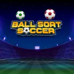 PLay Ball Sort Soccer now!
