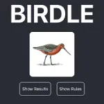PLay Birdle now!