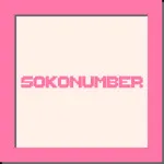 PLay Sokonumber now!