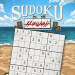 PLay Sudoku Hawaii now!