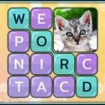 PLay Word Search Pictures now!