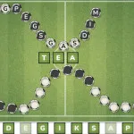 PLay Wordsoccer.io now!